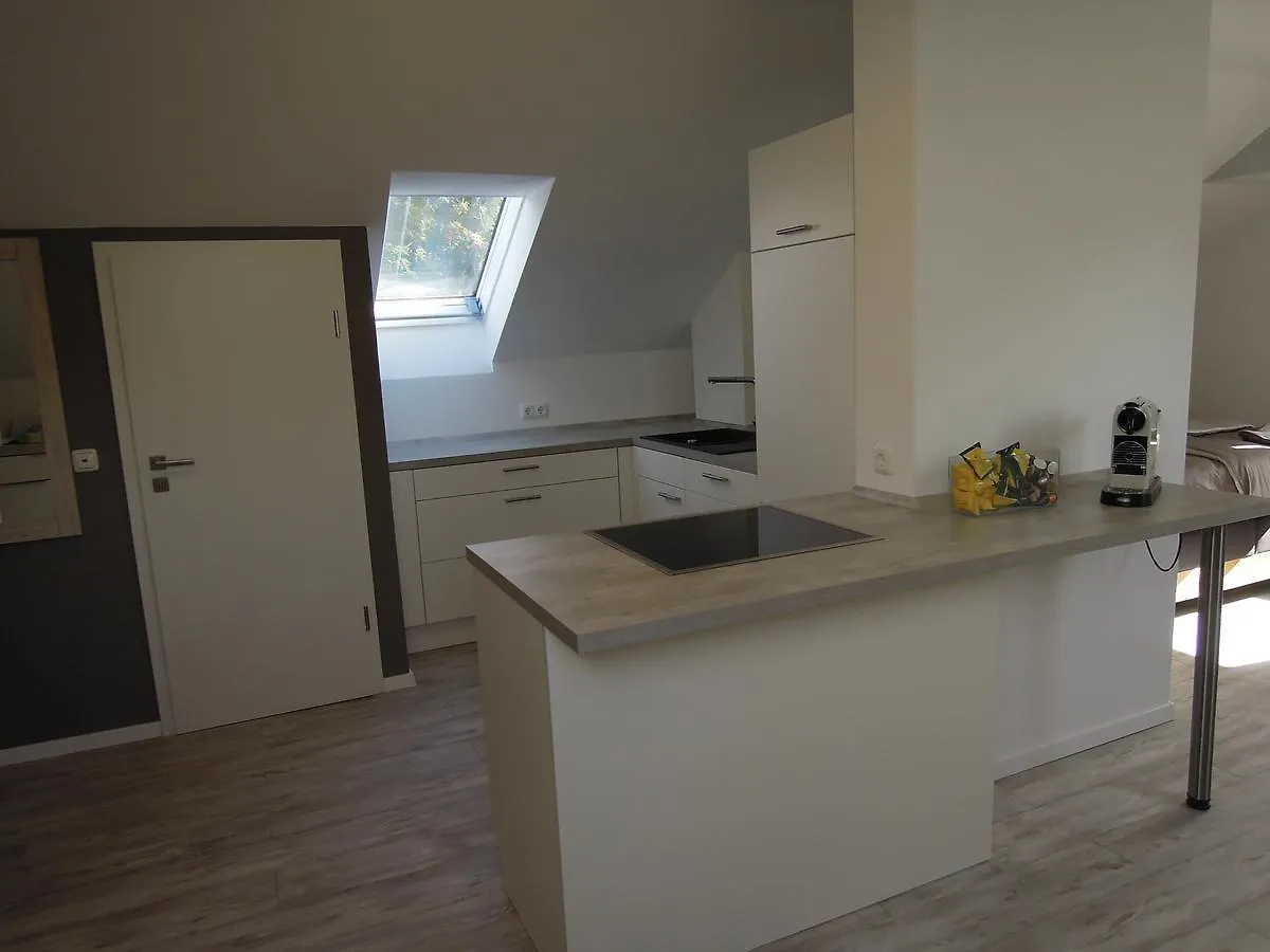 Appartamento Ferienwohnung Bayer Neualbenreuth Germania